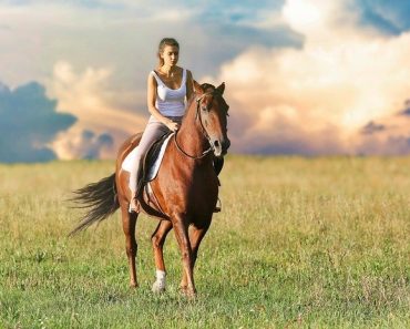 Entraîner un cheval de course avec une approche méthodique et progressive