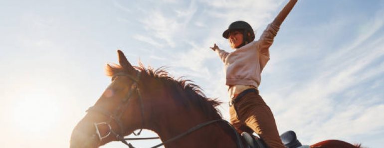 Mon cheval est-il en bonne santé ?