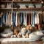 Découverte d’une boutique en ligne de vêtements pour chiens et chiots