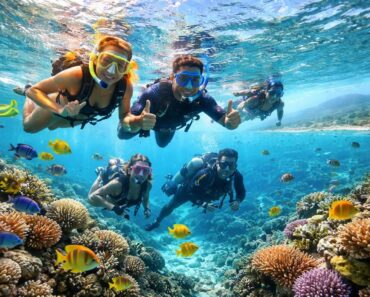 Plongée sous-marine et snorkeling dans les eaux cristallines à Antibes avec le club OC Antibes Plongée sous-marine et snorkeling dans les eaux cristallines à Antibes avec le club OC Antibes