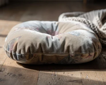 Les critères essentiels pour bien choisir un coussin pour chat Les critères essentiels pour bien choisir un coussin pour chat