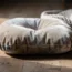 Les critères essentiels pour bien choisir un coussin pour chat