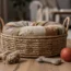 Les paniers pour chien : quoi acheter pour votre compagnon à quatre pattes ?