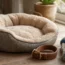 Jolianimo.com : les accessoires indispensables pour le bien-être des chiens