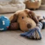 Découvrez nos jouets de qualité pour chiens : plaisir, sécurité et robustesse au rendez-vous