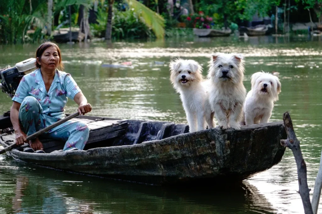 10 façons d'améliorer la vie quotidienne de votre chien